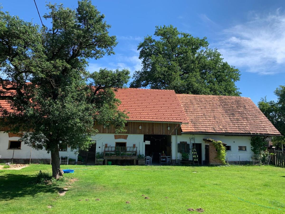 Kellerstoeckl Am Veganen Bio-Lebenshof "Varm - Die Vegane Farm" Sulb Ngoại thất bức ảnh