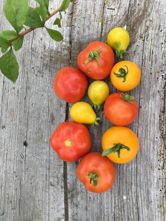Kellerstoeckl Am Veganen Bio-Lebenshof "Varm - Die Vegane Farm" Sulb Ngoại thất bức ảnh