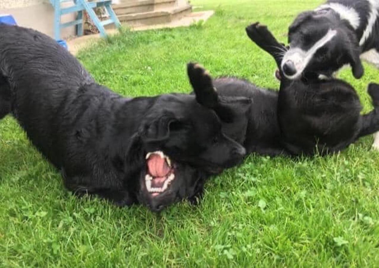 Kellerstoeckl Am Veganen Bio-Lebenshof "Varm - Die Vegane Farm" Sulb Ngoại thất bức ảnh
