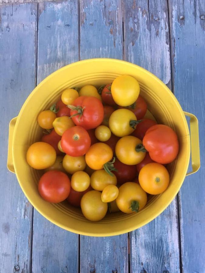 Kellerstoeckl Am Veganen Bio-Lebenshof "Varm - Die Vegane Farm" Sulb Ngoại thất bức ảnh