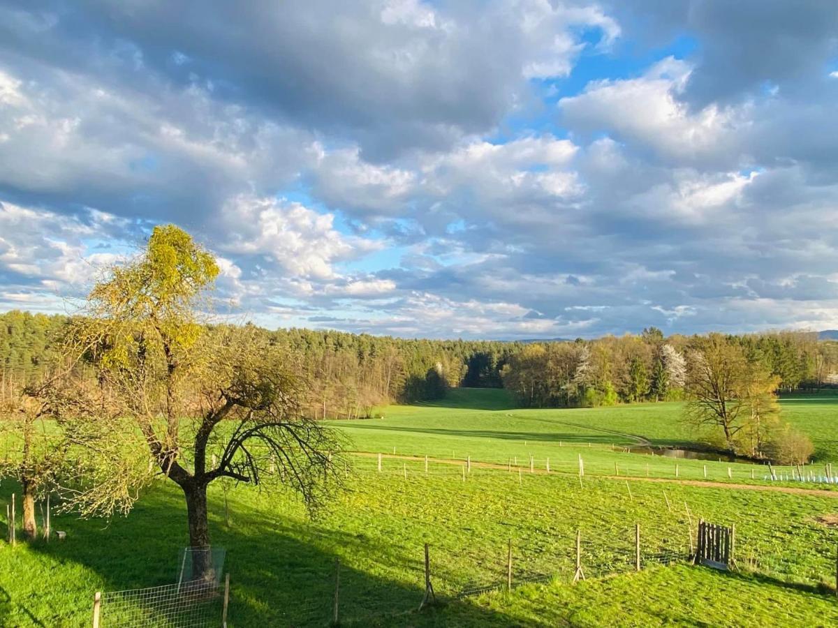 Kellerstoeckl Am Veganen Bio-Lebenshof "Varm - Die Vegane Farm" Sulb Ngoại thất bức ảnh