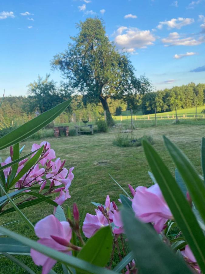 Kellerstoeckl Am Veganen Bio-Lebenshof "Varm - Die Vegane Farm" Sulb Ngoại thất bức ảnh