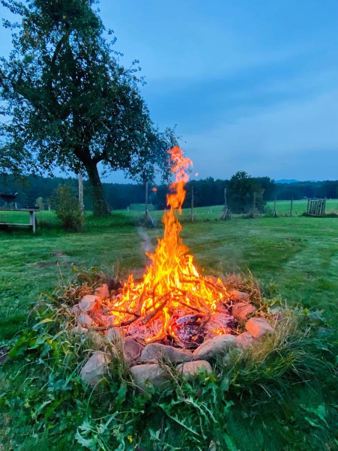 Kellerstoeckl Am Veganen Bio-Lebenshof "Varm - Die Vegane Farm" Sulb Ngoại thất bức ảnh